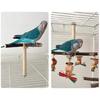 Multifunctional Parrots Stand Rotating Scratchers Toy for Conure Budgies