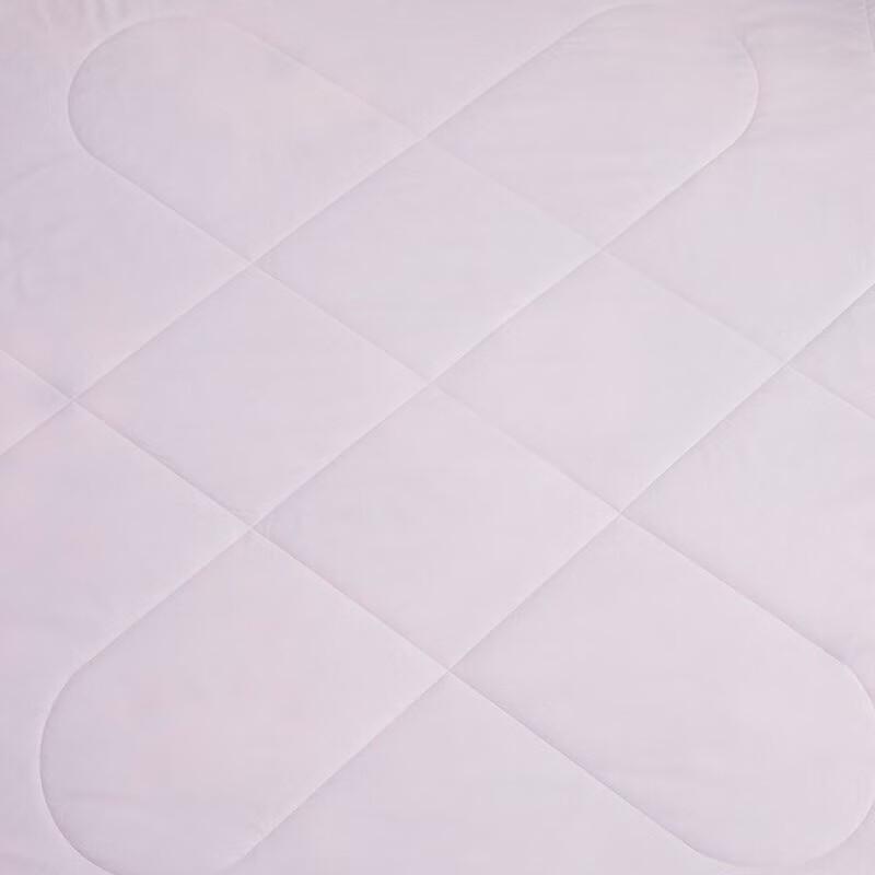 LUOLAI Floral Whisper Washable Summer Quilt