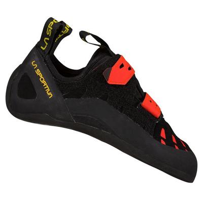 Tarantula Rockhoppers