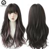 7jhh Wigs Long Wavy Curly Omber Gray White Hair Highlights Synthetic Blend Wigs With Fluffy Bangs For Women's Daily Wear Wigs