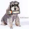 Latex Dog Chew Toy for Small Medium Large Dogs Bowling Shaped Interactive Squeaky Bite-Resistant Teething Toy for Stress Anxiety Relief