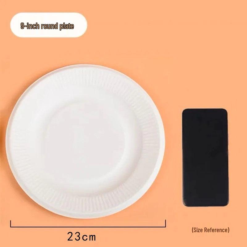 Hand-Painted DIY White Paper Plates for Kindergarten Arts & Crafts