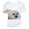 3D Seal Marine Animal Print Kids Crew Neck Short Sleeve Tee Loose Fit Outdoor Play Daily Leisure Outfit