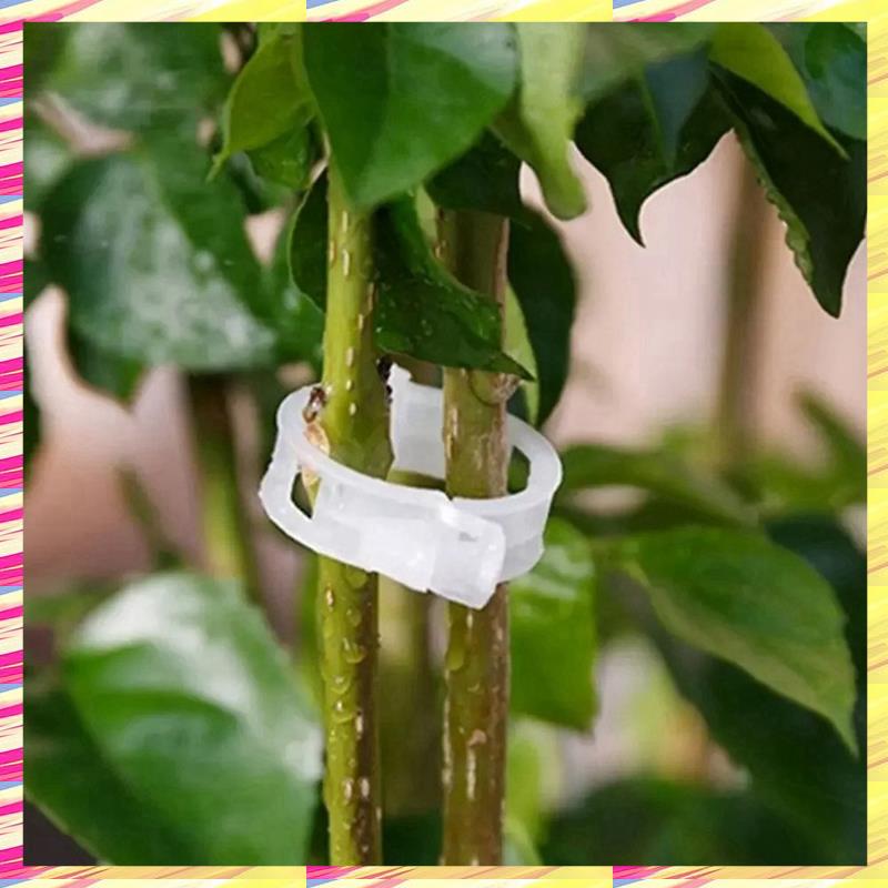 ABJJ 200 PCS Plant Support Clips Reusable Plastic For Vegetable Tomato Garden Supplies,B