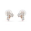 Swarovski Clip Earrings Rose Gold Tone 5763822