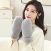 Winter New Thickened Plush Warm Gloves Fashionable Simple Solid Color Thermal Cold Weather Handwear