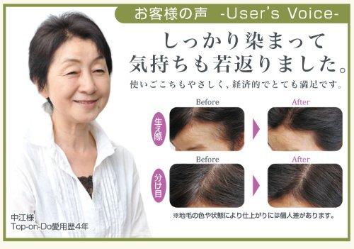 Phiten Top-on-Do D (gray hair dye) BE6 (light brown) x 2-pack