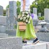 19 Head Chrysanthemum Sacrificial Tomb Flowers Artificial Flowers for Sacrifice and Tomb Sweeping White Yellow