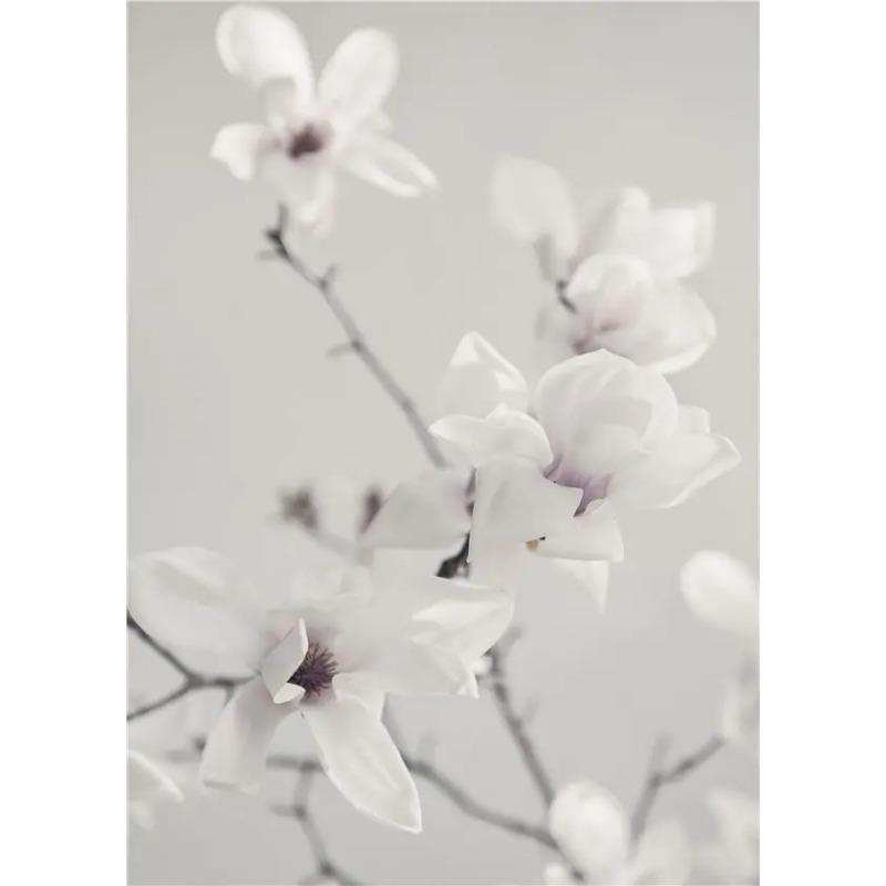 Modern Minimalist Islamic Architecture Wall Art Poster Canvas Print Door Flower Painting Home Decor Backdrop Pictures Design