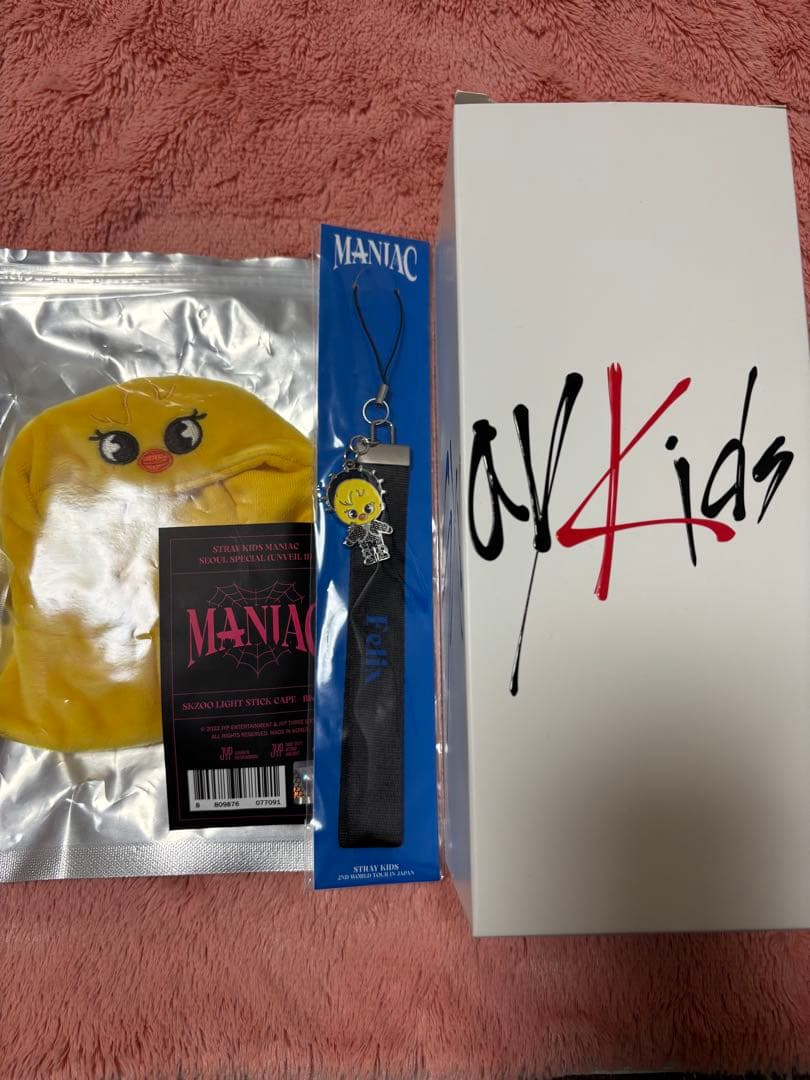 

[USED] StrayKids Penlight Ver.1 with Pogari Cover and Strap