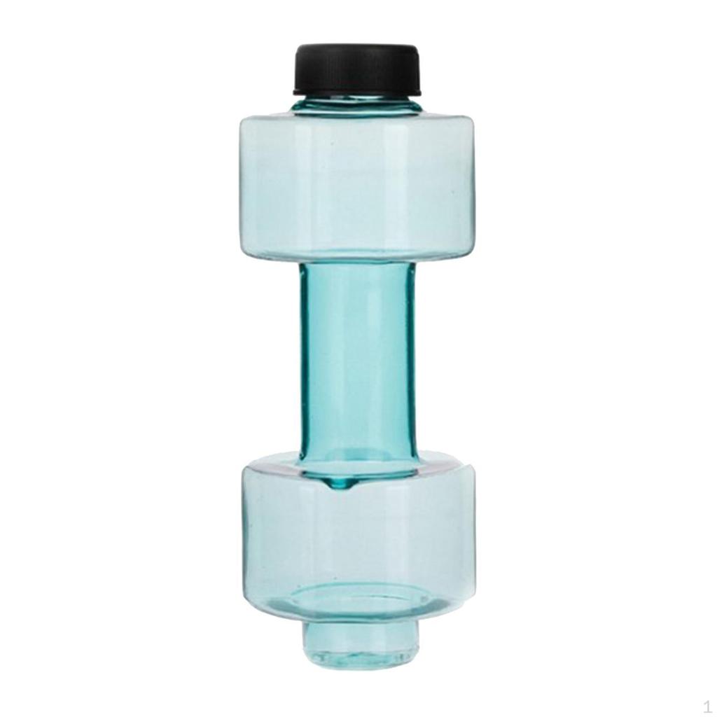 Companion for Fitness Enthusiasts
