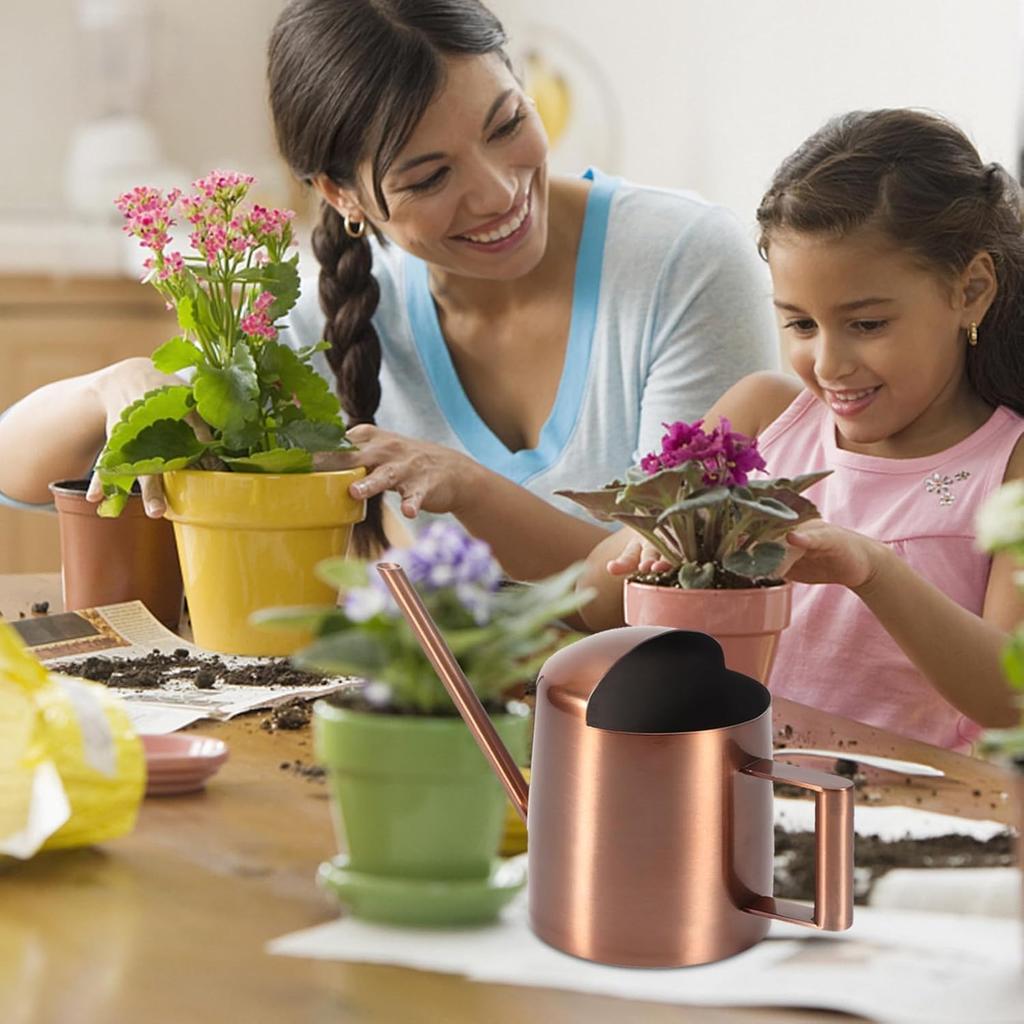 Small Watering Can, 10oz/300ml Stainless Steel Water Can for Indoor Plants Small Long Spout Watering Pot for House Plants, Succulents and Bonsai