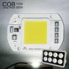 LED COB lamp Bead 20W 30W 50W AC 220V 240V IP65 Smart IC No Need Driver DIY Flood light Led Bulb Spotlight Outdoor Chip