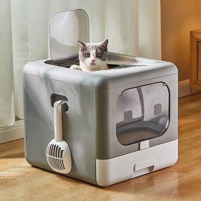 Kedi – Kedi bakım ürünleri