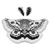 Elegant Moth Themed Costume Polyester Butterfly Wing Shawl Perfect For Halloween Event And Themed Parties