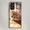 For Samsung Galaxy S25 Ultra Case Tempered Glass Case Cool Painted Phone Cases For Samsung S25 Ultra Cover S25ultra 5G Fundas