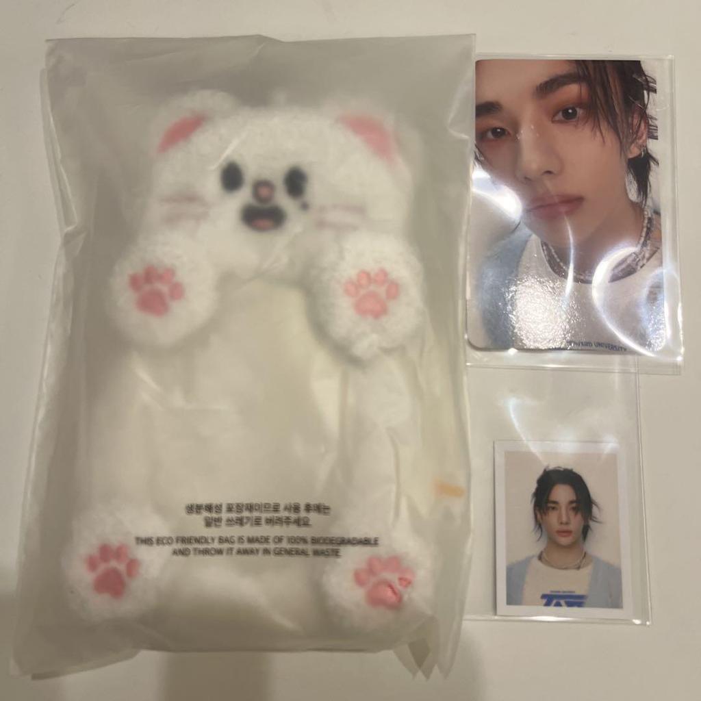 [USED] straykids skzoo genie reel holder, ID photo, special photo