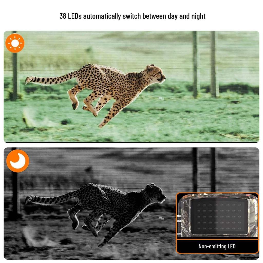 Waterproof IP66 Cross-Border Hunting Camera with Infrared Night Vision for Orchard and Farm Monitoring