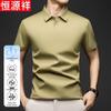 Hengyuanxiang Men's Ice Silk Breathable Polo Shirt