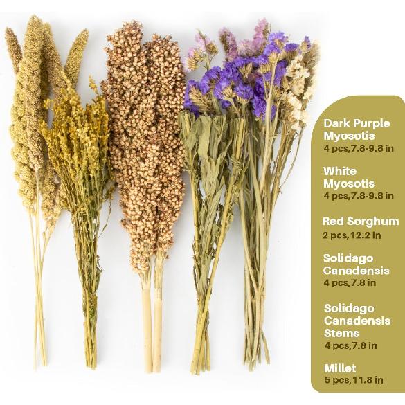 Sukh Natural Hamster Bedding Sprays - Foraging Habitat Decor Cage Accessories, Hideout Enrichment for Dwarf & Syrian Hamsters, Gerbils, Mice and