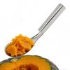 Strumento Rimuovi Semi di Zucca Acciaio Inossidabile Manuale Cucchiaio Dentato Cucchiaio da Intaglio Taglierina per Frutta Verdura Zucca Verdura