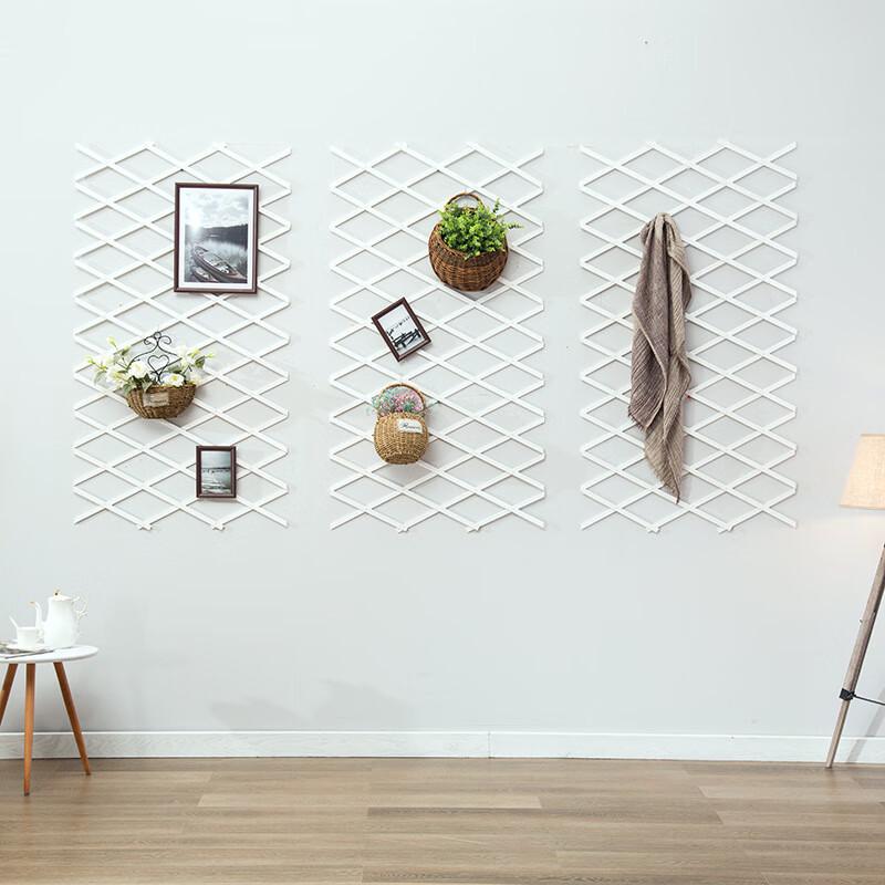 Milin Expandable Wall-Mounted Garden Trellis