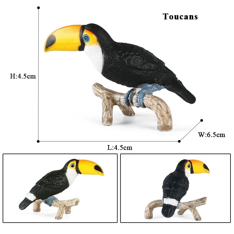 Oenux Forest Bird Animals Wild Ostrich Magpie Owl Crow Flamingos Figurines Action Figure PVC Garden Decoration Miniature Kid Toy
