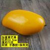 Plastic Foam Weighted Fruit & Vegetable Decorative Props