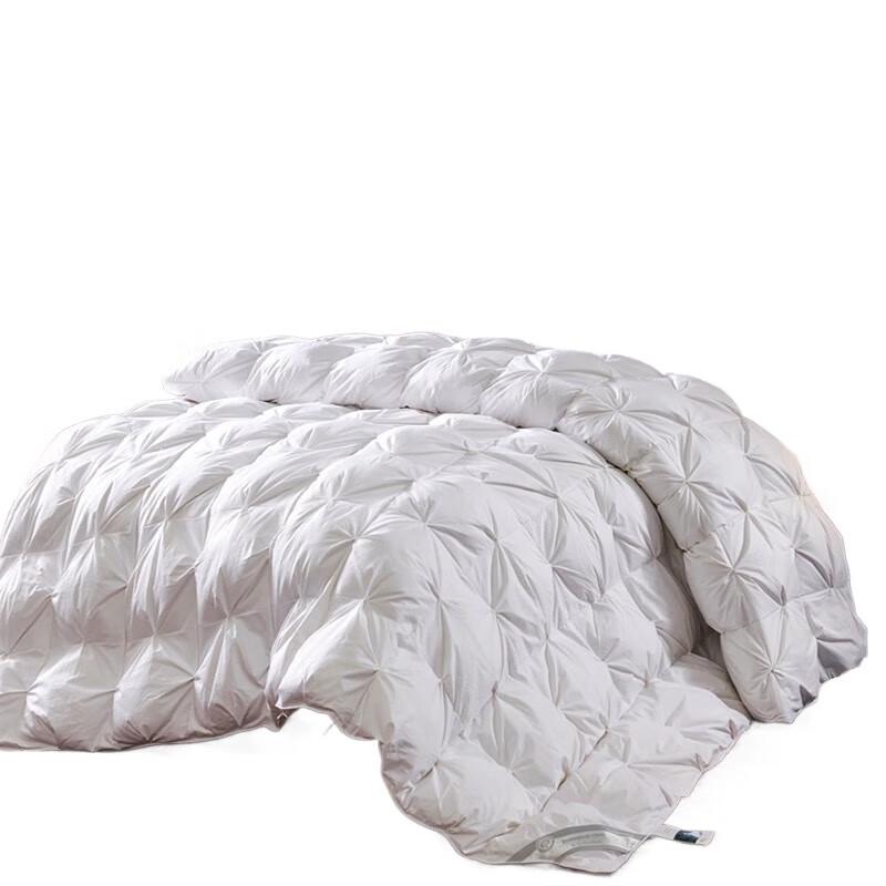 

Bejirog Light Luxury Goose Down Duvet
