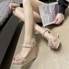 Wedge Heel Sandals Women's 2025 New Summer Fashion Versatile Muffin Heightened Platform Summer Fairy Style High Heels