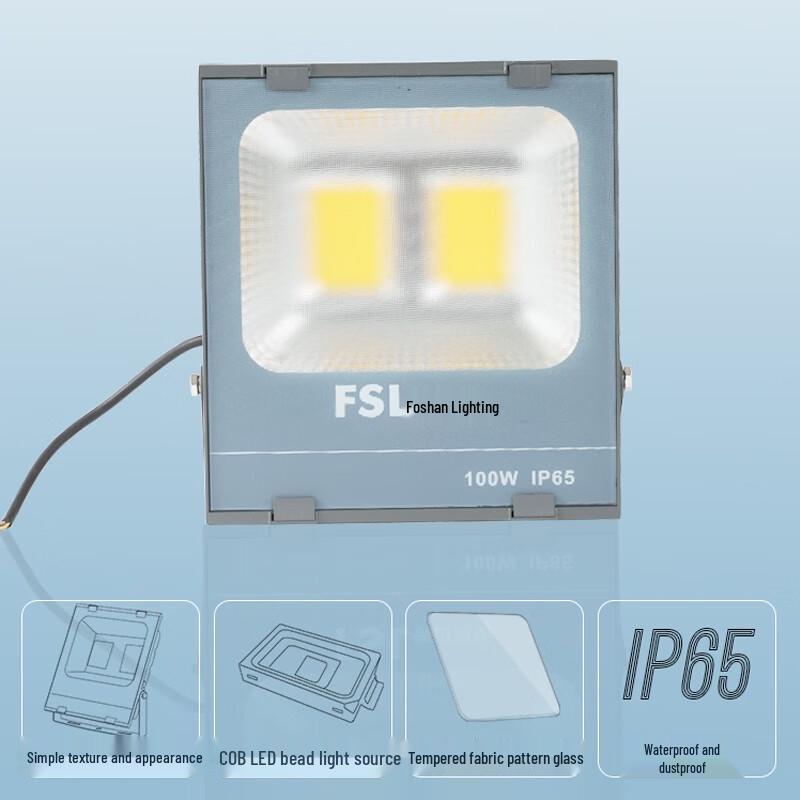 FSL Glory Series 100W LED Floodlight