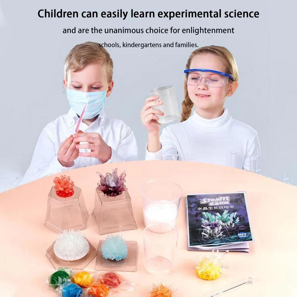 Grow a Crystal Science Experiments Toy Colored Crystals Crystal Making Kit  Teens