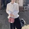 Women's Korean White Lace Collar Slim-Fit Long-Sleeve Top for Autumn/Winter