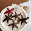 Ocean Series Starfish Hair Clip Acetic Acid Material Spring Hair Clip Side Hair Clip  for Women