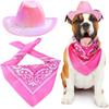 Pet Neon Shiny Space Cowboy Hat Clothing Set Dog Cat Symphony Cowboy Hat Western Cowboy Accessories