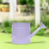 Vintage Iron Watering Can Planter Convenient Metal Container Perfect As a Flower Pots or Office Decoration