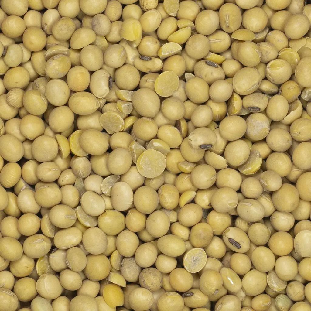 Soia Grano 1Kg (2X500G)