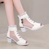 2025 New Summer Coarse Heel Women Shoes Mesh Breathable Hollow Cool Boots High Heel Sandals Fashion Women Shoes Zapatos De Mujer