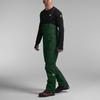 The North Face SUMMIT Overalls Men's NF0A82WE-I0P