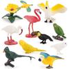 Realistic Bird Animal Model Set, Parrot Flamingo Toucan Hummingbird Wild Bird Mini Figure