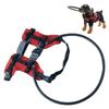 Visually Impaired Dog Protective Gear Reinforced Barrier Adjustable Safety Collar for Outdoor Obstacle Avoidance