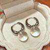 2026 Transparent Round Ball Pendant Earring Hooks Korean Fashion Jewelry For Girls Women'S Daily Party Wear Versatile Accessory