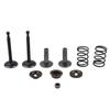 5.5HP 6.5HP Intake Exhaust Valve Lawn Mower Replacement Outdoor Garden