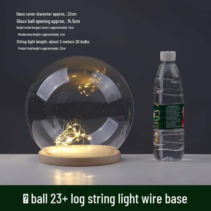 LED Sea Urchin Night Light with Preserved Flower in Glass Cover
