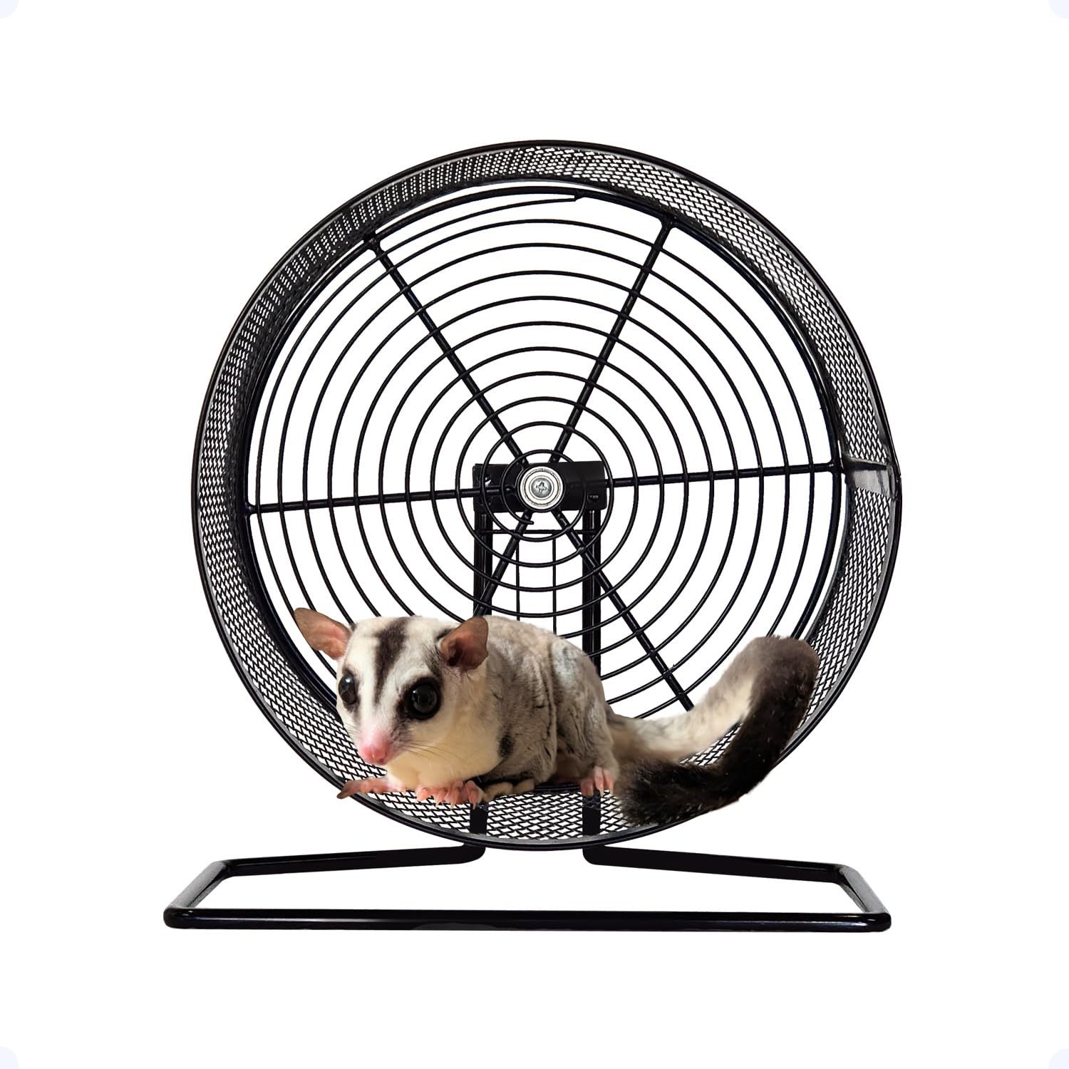 

eMons Колесо для мелких животных Бескаркасное 25 см Бескаркасное колесо для мелких животных с колесной клеткой Тихий и безопасный для сахаров и хорьков [Металл 25] Ремень, Подставка,