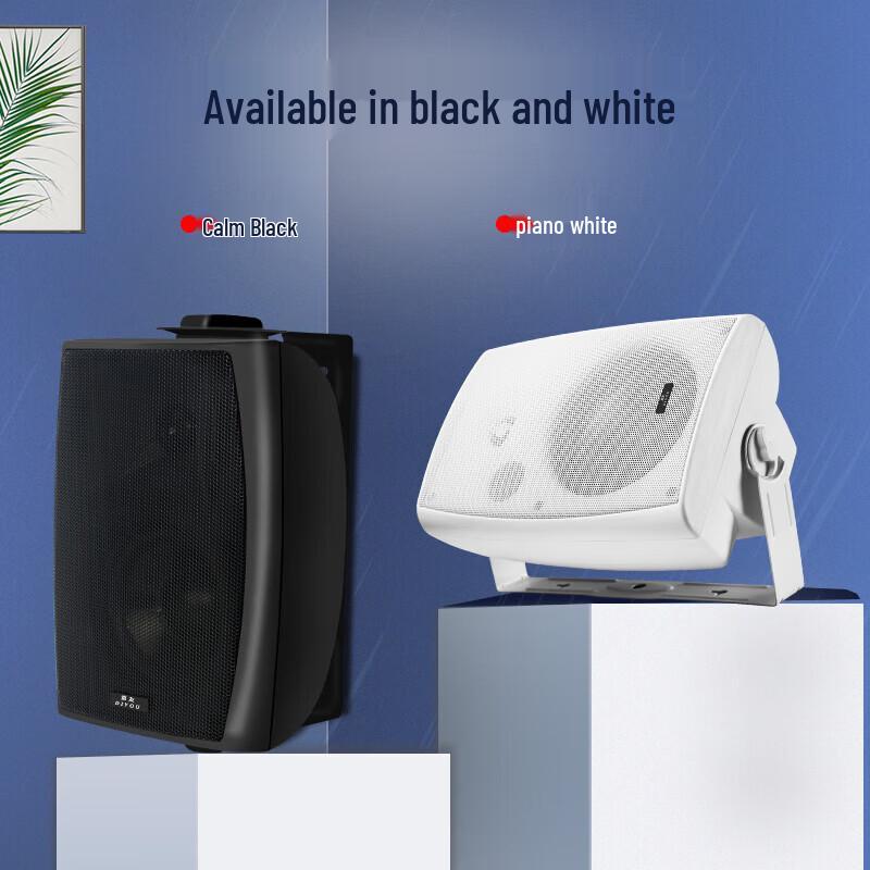 Diyou Wall-Mounted Conference & Broadcast Speaker System CN Plug (adapter Included) (CN Version)