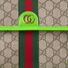 GUCCI Ophidia Fanny Packs 752597-FADIC-9761