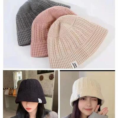 Hat Women's Autumn and Winter Ins Versatile Cold Hat Winter Warm Ear Protector Big Head Knitted Hat Men's and Women's Wool Hat