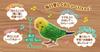 Takara Tomy TAKARATOMY Daily Talk Genius Parakeet Blue Blue Target 6 Years Old Brain Training Healing Partner Over 1100 Ways To Talk 10 Songs Age