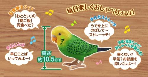 Takara Tomy TAKARATOMY Daily Talk Genius Parakeet Blue Blue Target 6 Years Old Brain Training Healing Partner Over 1100 Ways To Talk 10 Songs Age